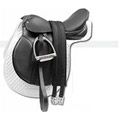 Equitation
