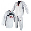 Taekwondo